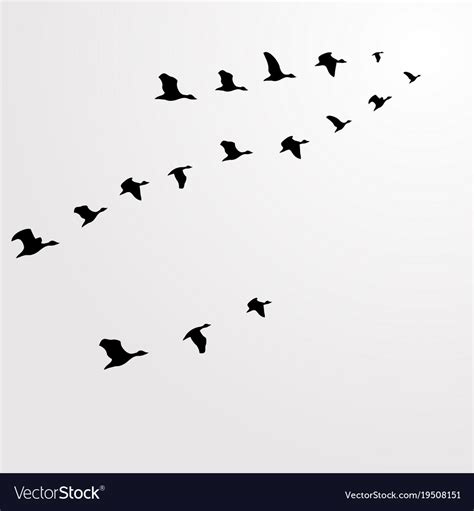 Silhouette Flocks Of Birds Flying Birds Flying Vector Image