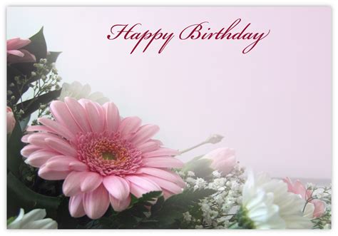 Happy Birthday Pink Daisy Mm X Mm Florist Cards Celloexpress
