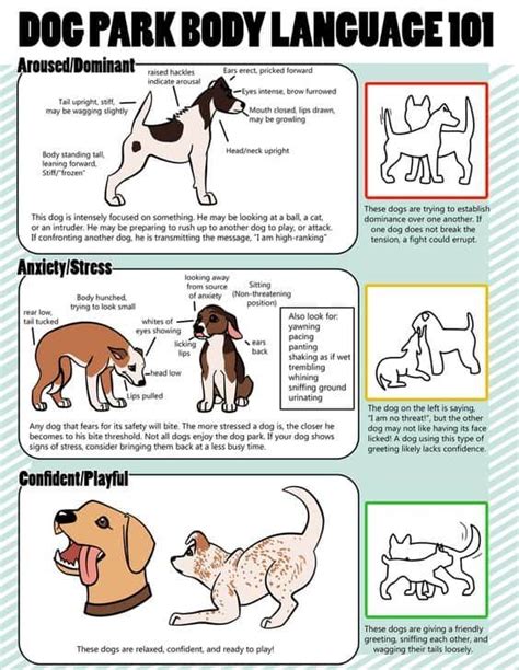 Printable Dog Body Language Chart