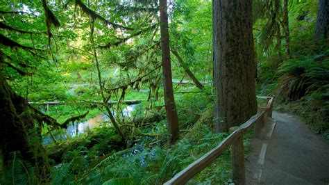 Hoh Rain Forest Visitor Center In Forks Washington Expedia