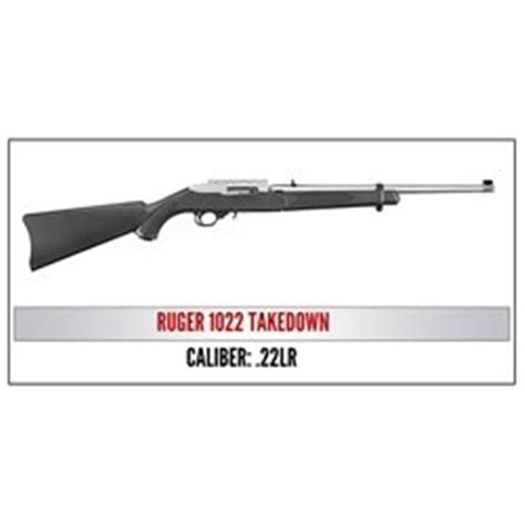 Ruger 1022 Takedown 22lr Semi Auto Rifle
