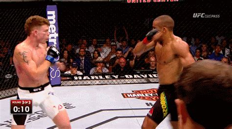 We would like to show you a description here but the site won't allow us. Name a Move - and the Fighter that does it best | Page 2 | Sherdog Forums | UFC, MMA & Boxing ...