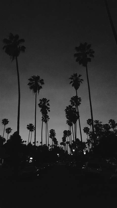 A collection of the top 34 aesthetic black and white wallpapers and backgrounds available for download for free. Echo Park Lake in 2020 | Black, white aesthetic, Black ...