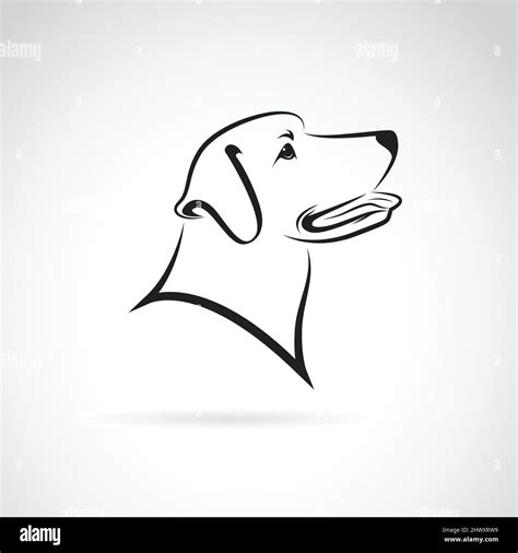 Vector Image Of A Dog Labrador On White Background Easy Editable