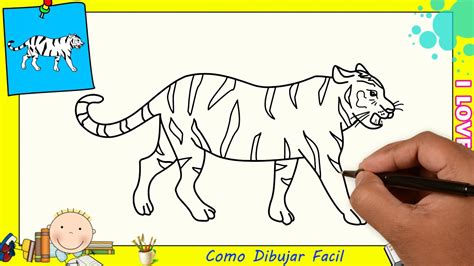 Como dibujar un tigre FACIL paso a paso para niños y principiantes 2