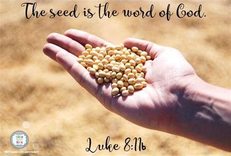 The Seed Is The Word Of God Bible Fun For Kids