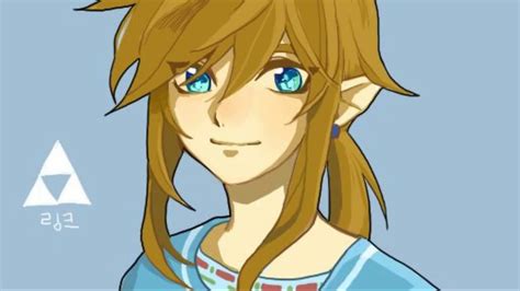 Legend Of Zelda Botw Link Eyes