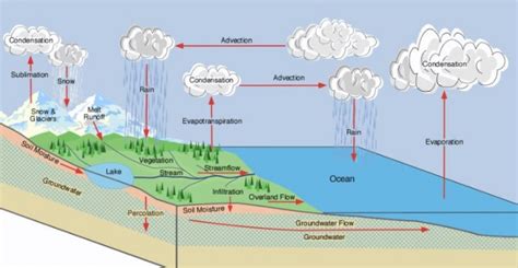 Siklus Hidrologi Pengertian Komponen Macamnya Lengkap Apd Log IMAGESEE