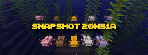 Minecraft Snapshot 20w51a