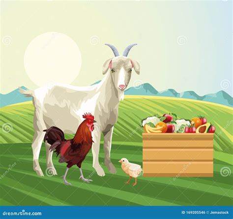 Farming Goat Rooster Chick Basket With Fruits And Vegetables Stock
