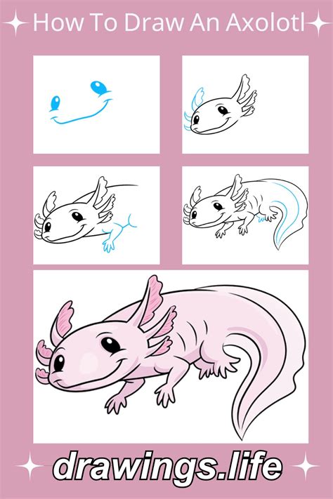 How To Draw An Axolotl In 6 Simple Steps Drawings