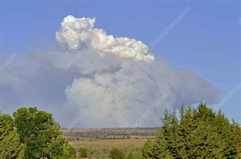 Pyrocumulus Cloud Stock Image F0314359 Science Photo Library
