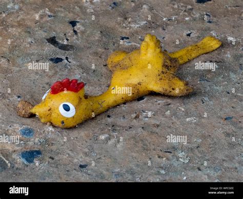 Discarded Toys Hi Res Stock Photography And Images Alamy