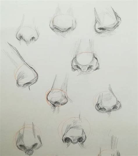 70 Drawings Of Noses Sketches Studies And Sketchbook Examples
