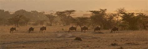 Tanzania villepagina attuale tanzania ville. Tourisme à Arusha 2020 : Visiter Arusha, Tanzanie ...