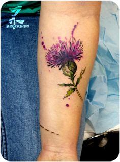 Scottish perspective on news, sport, business, lifestyle, food and drink and more, from scotland's national newspaper, the scotsman. 81 Best Scottish thistle tattoo images | Thistle tattoo, Scottish thistle tattoo, Scottish thistle