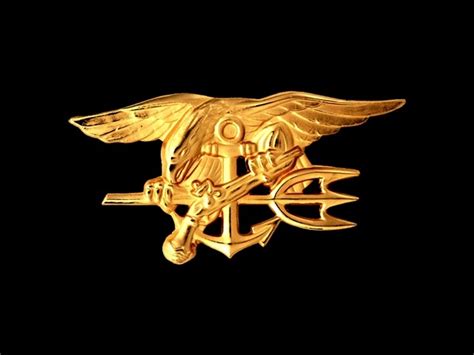 Phony Navy Seal Of The Week Force Recon Navy Seals