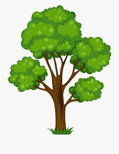 Free Oak Tree Clipart Download Free Oak Tree Clipart Png Images Free