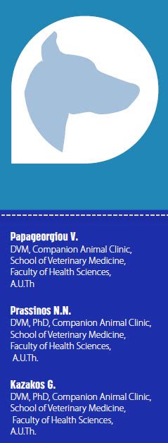 Hjcam Ιατρική Ζώων Συντροφιάς Hellenic Journal Of Companion Animal