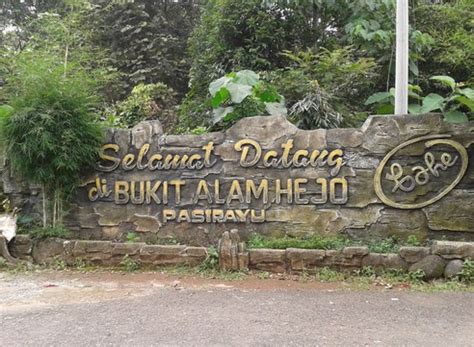 Kebun teh cipasung ini yang berada di lahan sekitar 59 ha ini dikelola dengan baik oleh salah satu koperasi yang ada di cipasung, yaitu koperasi tak heran jika kebun teh cipasung menjadi salah satu ladang rejeki bagi penduduk sekitar dan akhirnya menjadi tempat wisata yang patut dikunjungi. Nomor Hp Pengelola Kebun Teh Cipasung Majalengka / Pesona ...