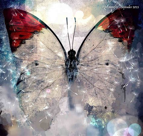 Butterfly Sparkles On Behance