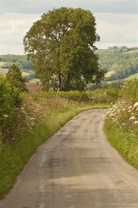 Country Lane Free Photo Download Freeimages