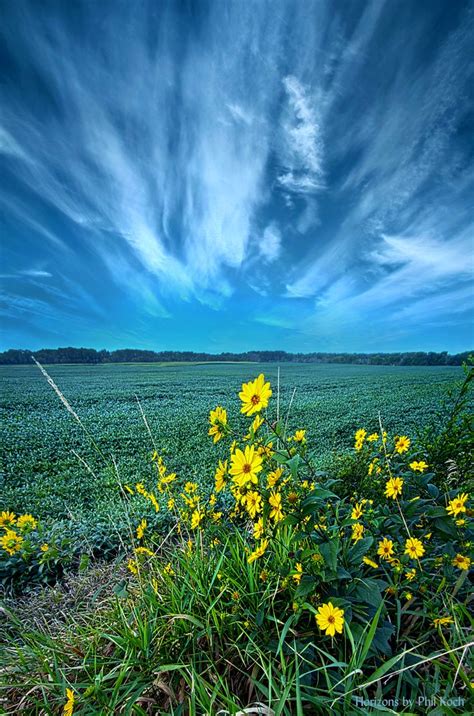With New Meaning Wisconsin Horizons By Phil Koch Phil Koc Flickr