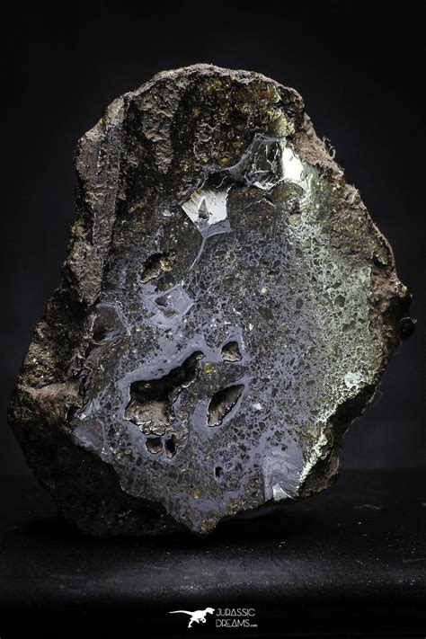 Sericho Pallasite Meteorite Polished Section 195g Fell In Kenya