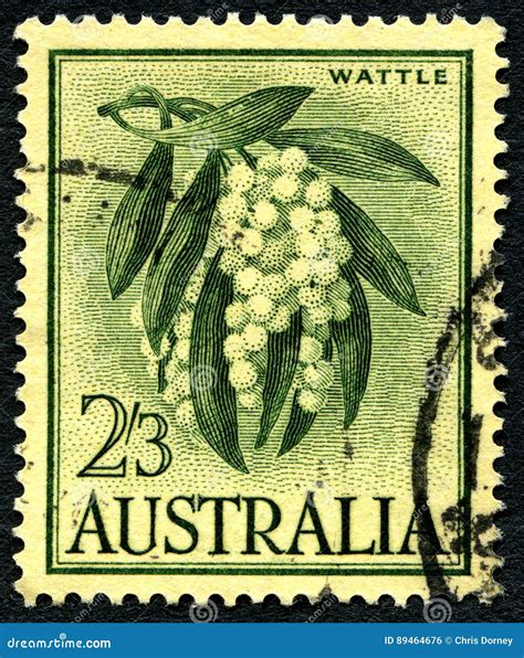 Wattle Australian Postage Stamp Editorial Photo Image Of Celebration