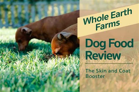 Whole earth dog food dog food coupons 2021. Whole Earth Farms Dog Food Review: The Skin and Coat Booster