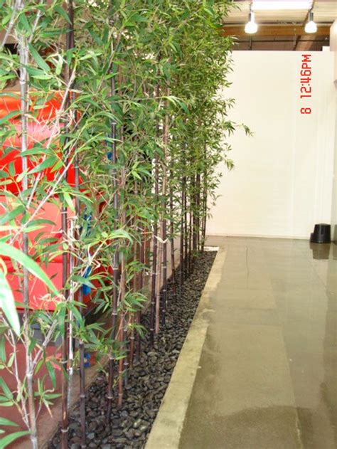 Silks Instant Jungle Screen Plants Bamboo Planter Privacy Plants