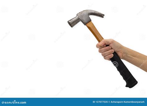 woman`s hand holding hammer isolated on white background stock image image of business macro