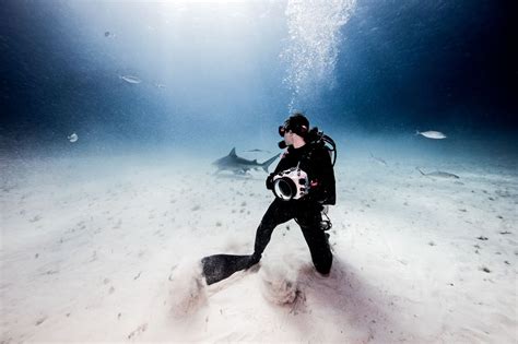The Beginners Guide To Filming Incredible Underwater Videos Fxhome
