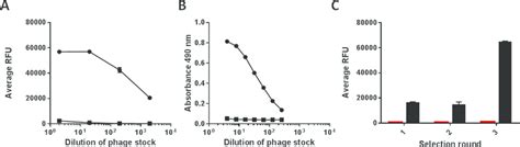 Phage Pool Evaluation Using Phage Stock Solution From Selection With