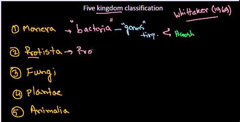 Ncert Biology Class 11 Five Kingdom Classification Of Living Organisms