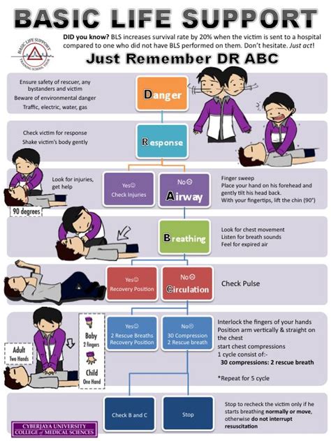 Bls Manual Pdf Free