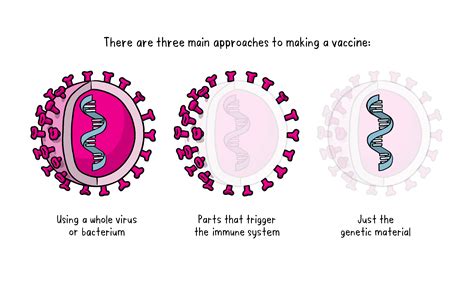 Info about Corbevax/Becov2 Vaccine developed by Biological E, BCM and