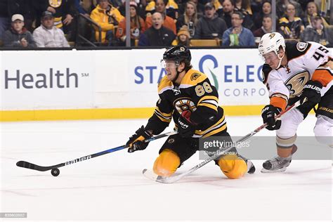 David Pastrnak Of The Boston Bruins Fights For The Puck Against Sami