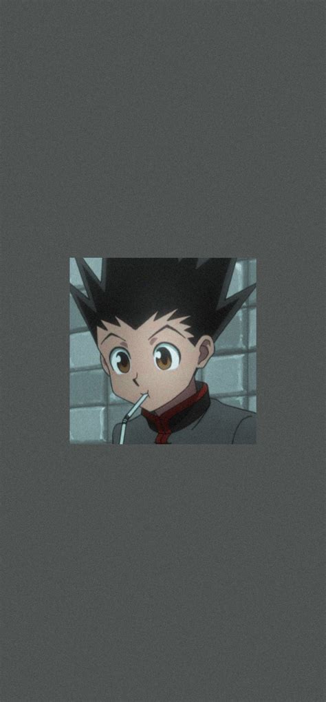 Gon Aesthetic Wallpaper Aesthetic Anime Wallpapers Hunter X Hunter