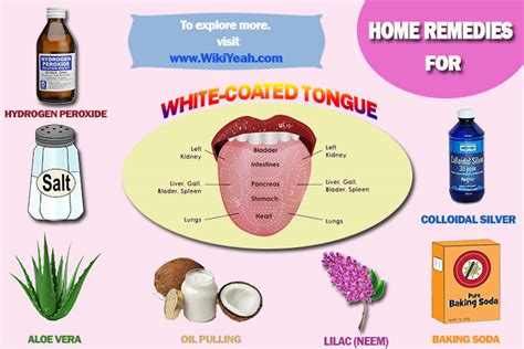 How Do You Get Rid Of White Tongue Your Tongue Is Probably Filthy Books Pdf Epub And Mobi