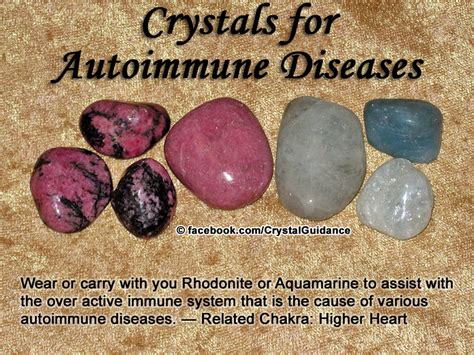 The role of the immune system is to protect the body against invasion (infection). Crystal Guidance: Crystal Tips and Prescriptions ...