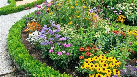 Tambahkan aksen bunga atau daun yang lebih besar di sudutnya sebagai variasi. Tanaman Hias Depan Rumah Penyumbang Oksigen - Taman Bunga ...