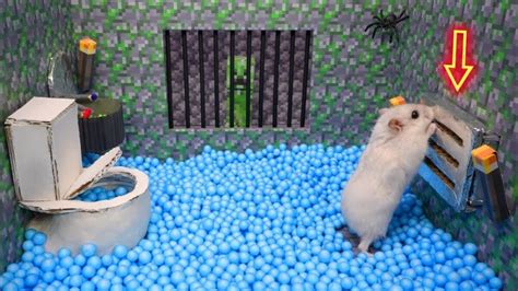 Hamster Escapes The Awesome Minecraft Maze With Underwater Obstacle Course