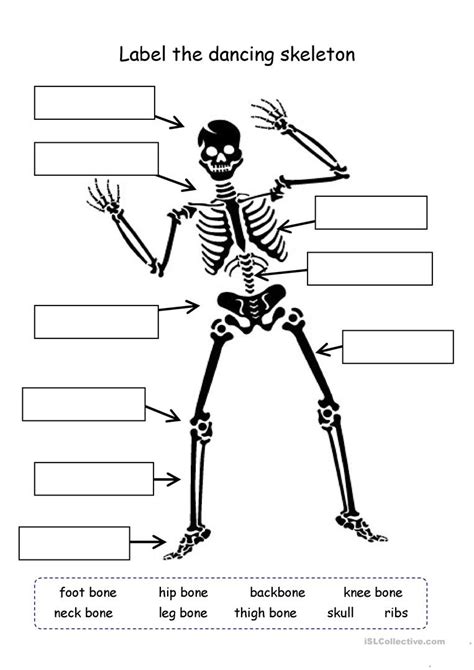 Skeleton Labeled Worksheets