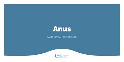 „anus“ Lod