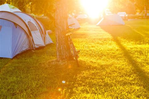 Tents Camping Area In Beautiful Natural Place With Big Trees And Green