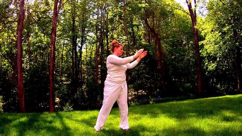 Tai Chi Seniors Exercise Youtube Ejercicio Excercise Work Outs