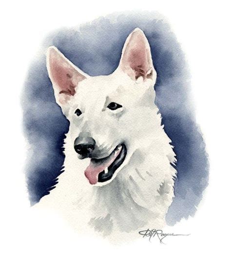White German Shepherd Art Print By Watercolor Artist Dj Rogers Etsy