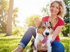 Dog Walking And Pet Sitting Give Your Furry Friend The Care They Deserve