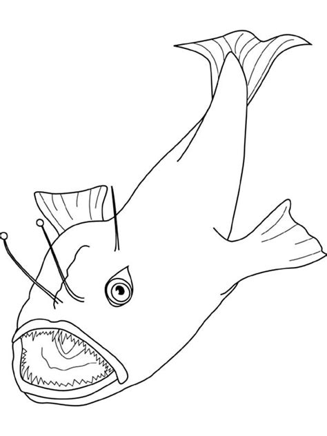 Angler Fish Coloring Coloring Pages